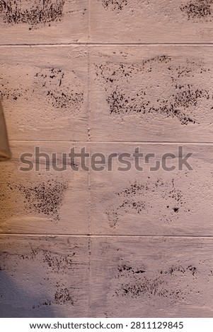 A close-up view of a wall constructed from painted concrete blocks, showcasing a rough texture and subtle dark markings