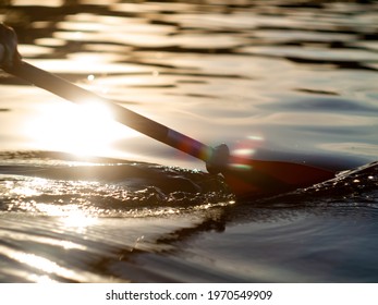 Close-up View Of Water Ripples From Rowing
