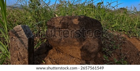 A close-up view of weathered brown and gray stones surrounded by green grass and wild plants under a clear blue sky, highlighting natural textures and earthy tones.

