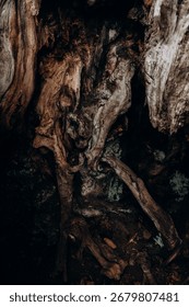 A close-up view of weathered, twisted tree bark and wood with intricate natural patterns. The aged wood displays deep grooves, swirling grain patterns, and rich brown textures that show years of weath
