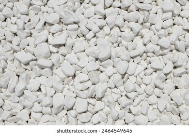 A close-up view of white pebble stones creating a smooth and clean texture, ideal for use in garden pathways and decorative landscaping. - Powered by Shutterstock