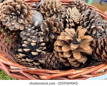 Close-up view of a wicker basket filled with pinecones of varying sizes and colors. The pinecones are natural, textured, and arranged in an organic way.The beauty of nature and the rustic charm. - Powered by Shutterstock