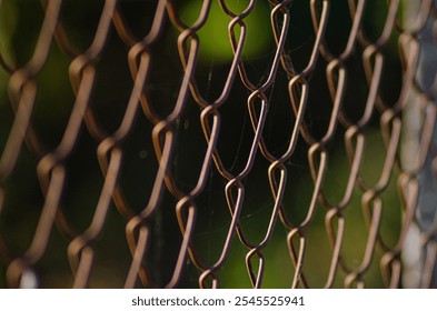 close-up view of a wire fence with blurred background - Powered by Shutterstock