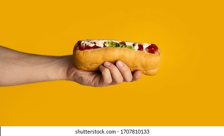 Closeup view of young man holding fresh hot dog with sauce on orange background, panorama
