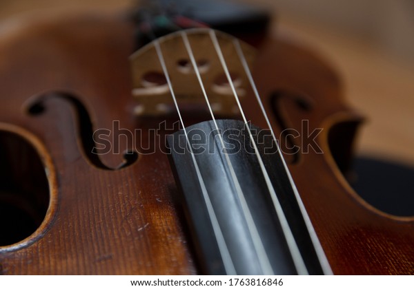Close-up of\
viola part of string quartet\
instrument