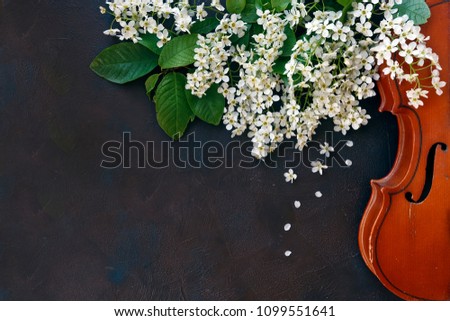Close-up of violin with beautiful flowering tree branches on black background. Top view