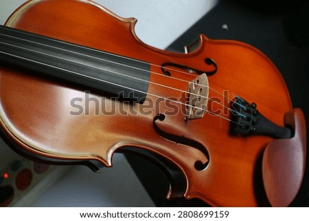 Close-up of a violin placed inside a velvet-lined case, showcasing polished amber-brown wooden body, fingerboard, bridge, f-holes, tailpiece, and chin rest. The bow is partially visible. This photo highlights craftsmanship, classical music heritage, and elegant design, suitable for themes of arts, performance, and vintage musical instruments.