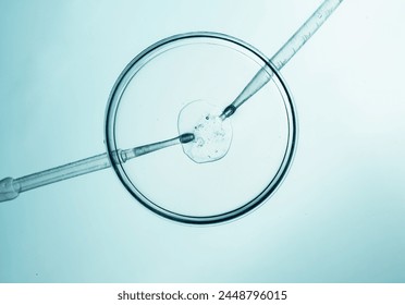 Close-up of in vitro fertilization process in laboratory