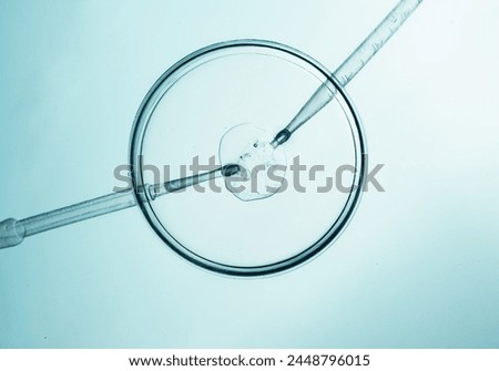 Close-up of in vitro fertilization process in laboratory