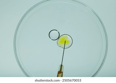Close-up of an in vitro fertilization process with a needle injecting material into an egg within a petri dish.