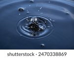 Close-up of a water droplet creating ripples in dark water. The splash and concentric circles are captured in detail, highlighting the fluid dynamics and motion.