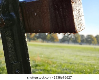 Close-up of water droplets hanging from a damp wooden surface, with a soft-focus view of a grassy field and trees in the background. The image captures the freshness and calm of a dewy morning - Powered by Shutterstock