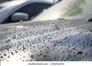 Close-up of Water Repellent  or Hydrophobic Effect On Car Paints.