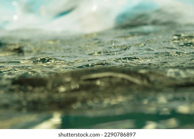 Close-up of the water surface, selective focus, soft focus.