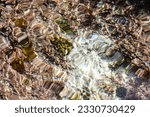 Closeup of water in tidepool under the summer sun.
