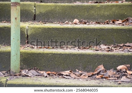 Similar – Image, Stock Photo Concrete steps with fall leaves