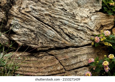A closeup of a weathered stone wall showing ancient tectonic patters