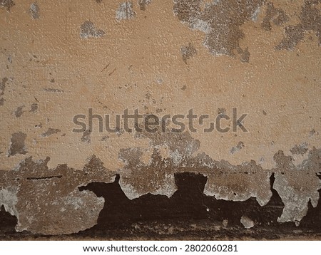 Close-up of a weathered wall surface with peeling paint, cracked layers, and distressed textures. Aged plaster background showcasing decay, deterioration, and rustic imperfections, ideal for grunge designs, urban themes, renovation concepts, and abstract backdrops.