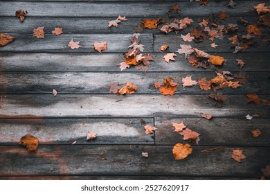 Close-up of weathered wooden deck scattered with colorful autumn leaves, capturing the simplicity and natural textures of fall in a peaceful, rustic setting. - Powered by Shutterstock