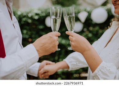 Close-up of wedding toast of bride and groom. - Powered by Shutterstock