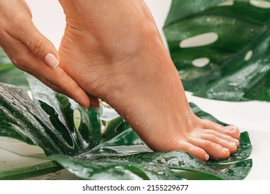 Closeup of wet female feet with smooth skin and tropical leaves