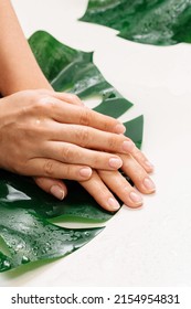 Closeup Of Wet Female Hands With Moisturized Oily Skin And Tropical Leaf