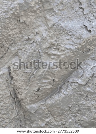 Close-up of wet grey mud texture with cracks and bumps.