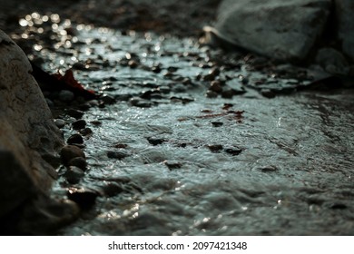 A Closeup Of The Wet Muddy Surface  Muddy Water With Rocks 