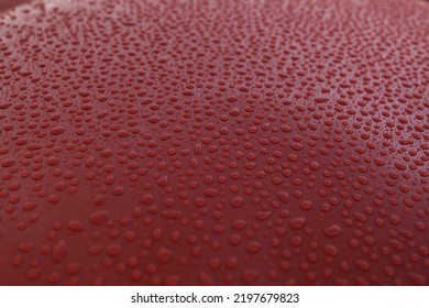 Closeup Wet Red Car Paint Surface With Hydrophobic Ceramic Coating, Shallow Focus