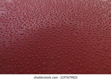 Closeup Wet Red Car Paint Surface With Hydrophobic Ceramic Coating, Shallow Focus