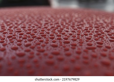 Closeup Wet Red Car Paint Surface With Hydrophobic Ceramic Coating, Shallow Focus