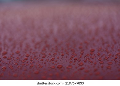 Closeup Wet Red Car Paint Surface With Hydrophobic Ceramic Coating, Shallow Focus