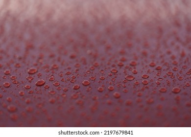 Closeup Wet Red Car Paint Surface With Hydrophobic Ceramic Coating, Shallow Focus