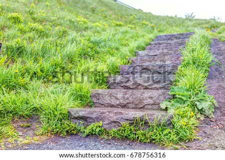 Closeup of wet stone steps looking up in green grass park during summer