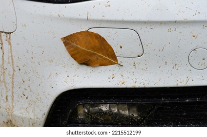 Close-up Of White Car Covered With Mud In Autumn.