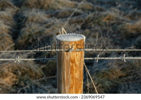 Closeup of white hoar frost on the top of a round post and barbwire on a cold frosty morning in winter.
