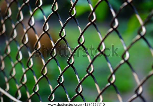 Close-up of the white metallic cage\
in a zoo with blurred defocused natural green as\
background.