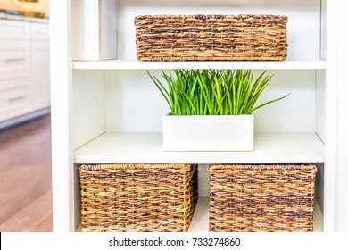 Closeup of white, modern, minimalist shelves in kitchen or living room with woven baskets and green plants pots, containers