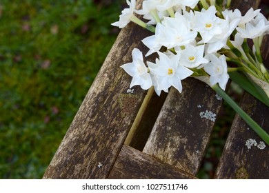 Close-up of white narcissi flowers on a wooden garden seat with grass beyond