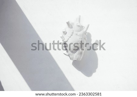 Closeup of a white plaster heart sculpture on a white background. Gypsum figurine in the shape of a human heart with hard shadows from bright light. Minimalist aesthetic style.