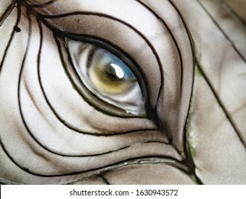Purple Tiger Eye Images Stock Photos Vectors Shutterstock