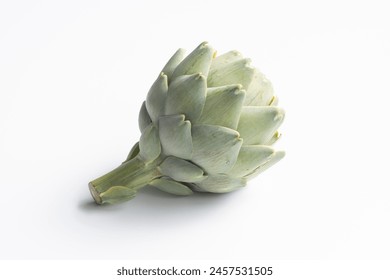 Closeup of a whole head of artichoke (also known by the names French artichoke, green artichoke, and globe artichoke) isolated on a white background.