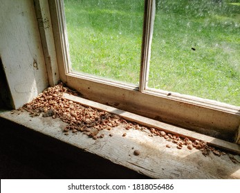 Closeup Of The Window Sill In The Ranger Cabin On The Baldy Mountain Hiking Trail In Duck Mountain Provincial Park, Manitoba, Canada