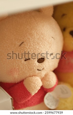 Close-Up of Winnie the Pooh Soft Toy – Tiny Eyes Plush Detail