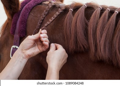 174 Horse tail hairstyle Images, Stock Photos & Vectors | Shutterstock