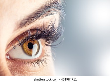 Zoom into eye Images, Stock Photos & Vectors | Shutterstock