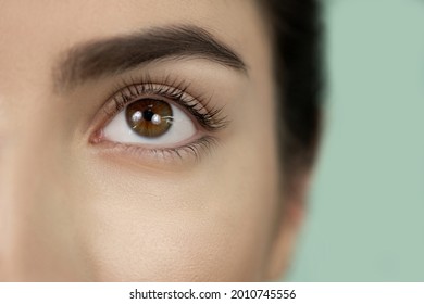 Close-up of woman eye with result after lash lift laminating botox procedure. Eyelash Care Treatment: eyelash lifting and curling, lash lamination and extension. Copy text.