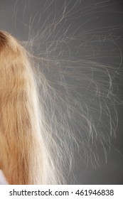 Closeup Of Woman Girl With Static Blonde Long Hair. 