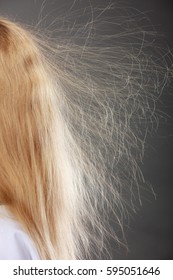 Closeup Of Woman Girl With Static Blonde Long Hair. 