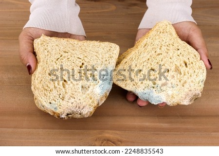 Close-up of woman hand holding Moldy bread on wooden table